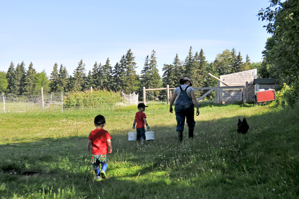 Chore time experience